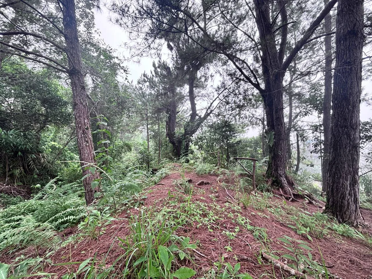 Balacbac House and Lot - photo 3